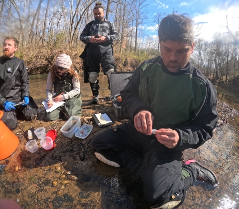 A man attached a PIT tag to a freshwater mussel