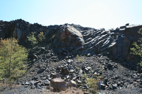 A photo of a rocky mountain side with trees in the foreground.