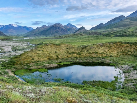 Green plains and a lake with a mountain range in the background.