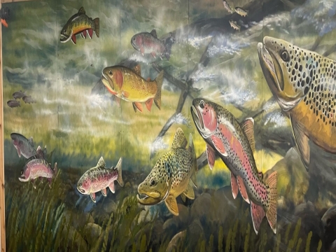 Norfork National Fish Hatchery Mural