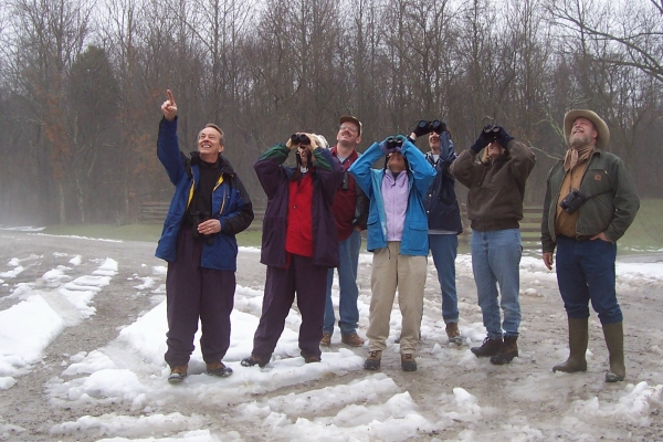 Group of birders looking upward toward bird while standing on snowy road