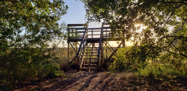 Elevated observation platform