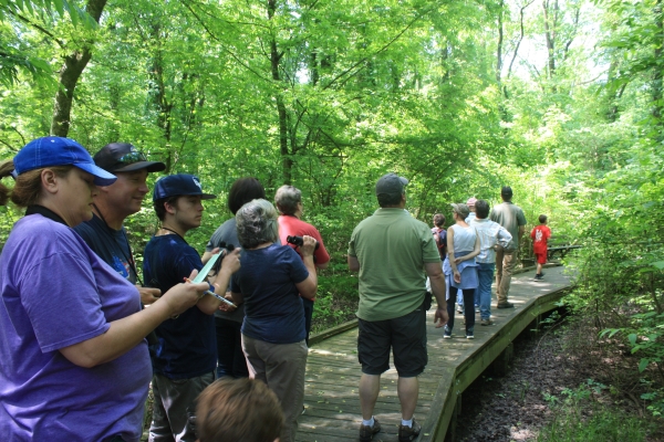 An image of a group of people hiking on a boardwalk.