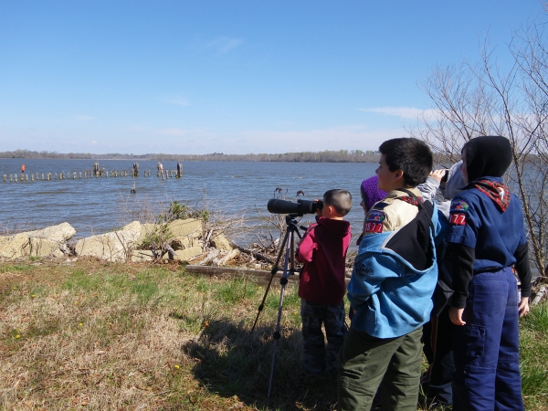 Kids wildlife watching with a spotting scope