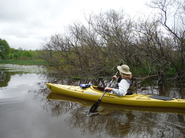 Person in a canoe