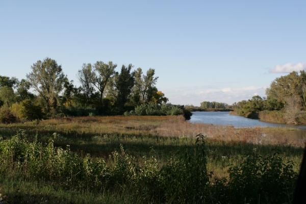 A view of DeSoto Lake with foliage and trees. 