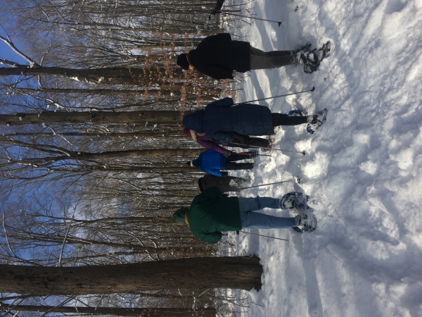 people snowshoeing on Kanyoo Nature Trail