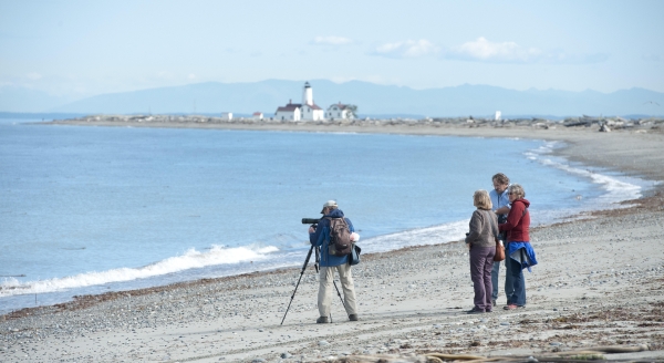 Visitors Viewing Wildlife With a Spotting Scope Near the New Dungeness Light Station