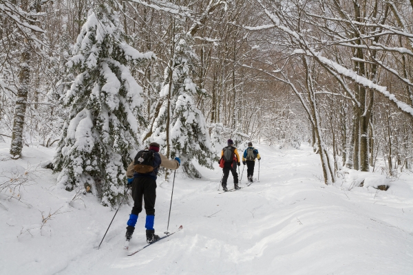 Cross country skiing at Canaan NWR