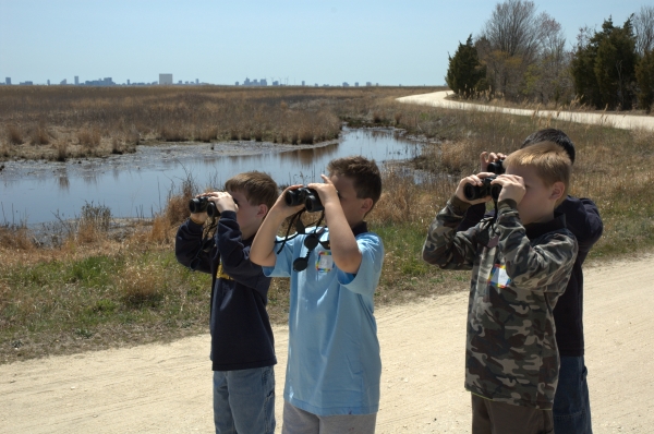 Birding by Gull Pond at Edwin B. Forsythe NWR