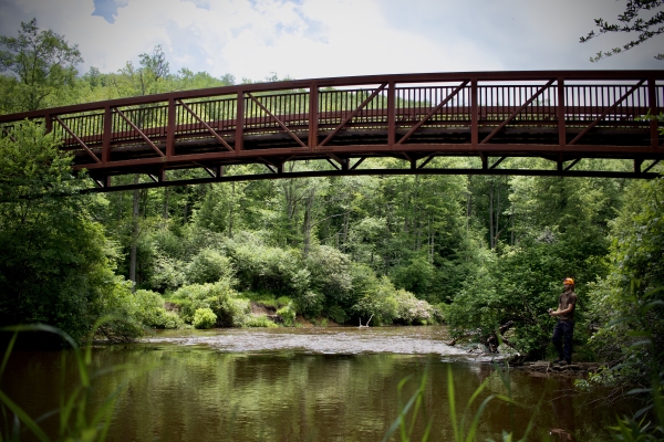 Fishing along the Blackwater River