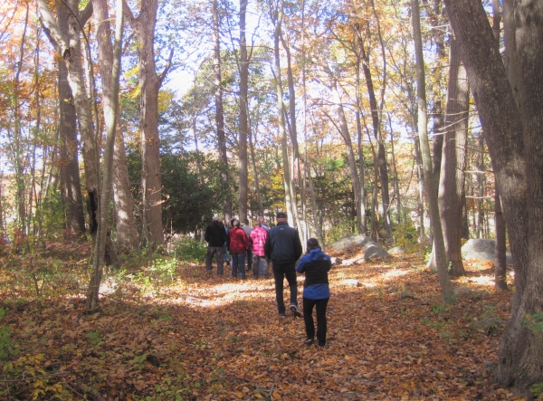 A group of people hiking through the forest at Salt Meadow.