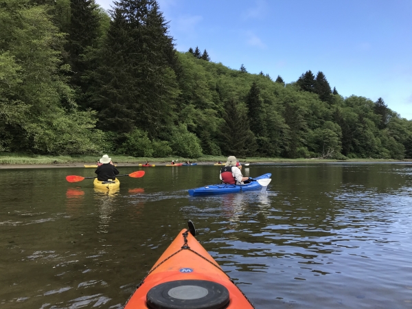 A kayak trip along the Nestucca River