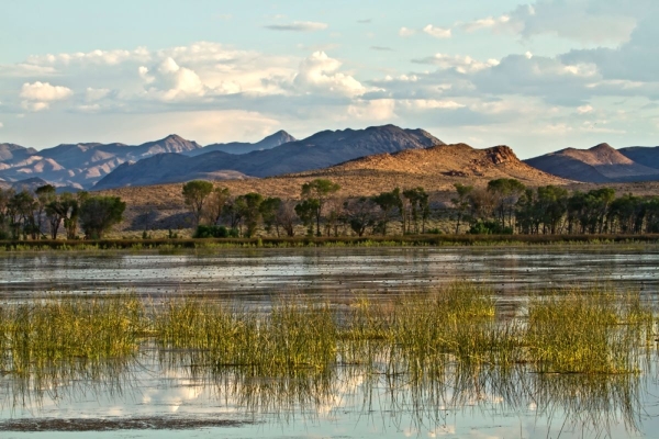 Upper Lake Pahranagat NWR