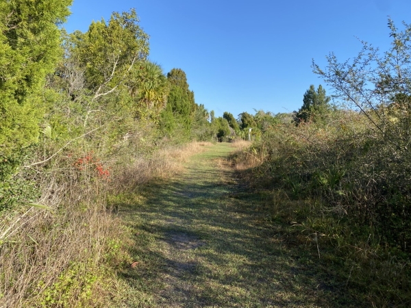 Trail at Three Sisters Springs surrounded by vegetation 