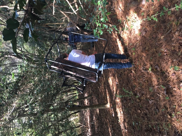 Hunters carrying tree stands through the woods