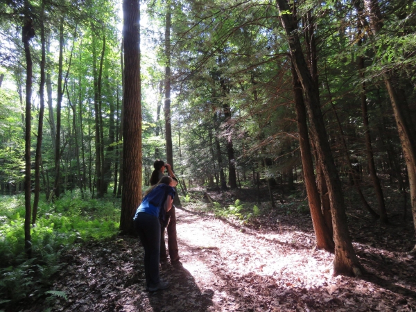 Two people enjoy a hiking trail, looking through binoculars