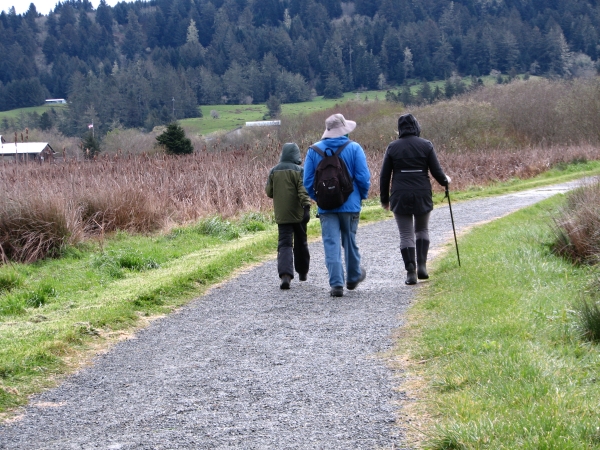 Three people walking along a gravel path near a wetland with coniferous forest in the background