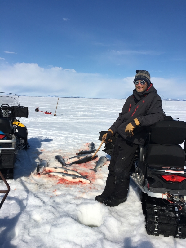 a man stands beside a snowmachine on the ice with a round hole near his feet. He holds a wooden jigging stick. several large fish are piled on the ice behind him.