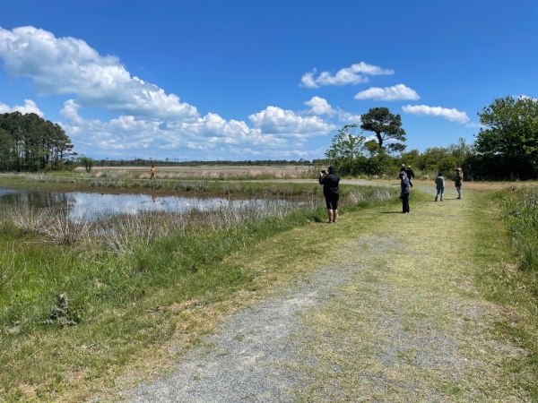 People walking along a trail while others stop to take pictures