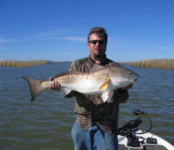 Man standing in boat in marsh holding a large fish that has a black spot on top end of tail