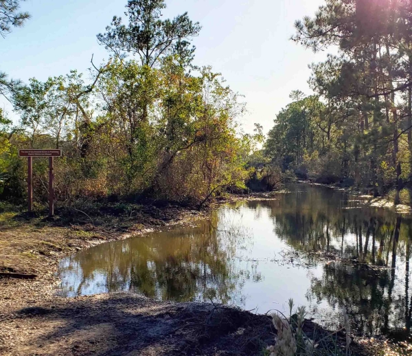 A primitive boat launch lined with trees along a canal