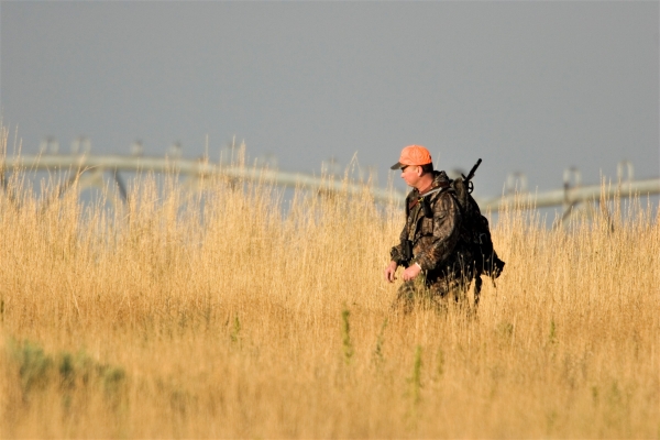 deer hunter walking through field