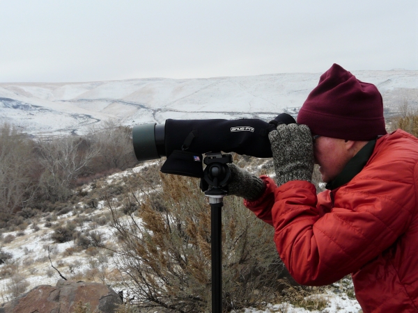 bird watching in a snowy landscape