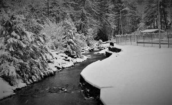 A creek meandering between snow covered banks