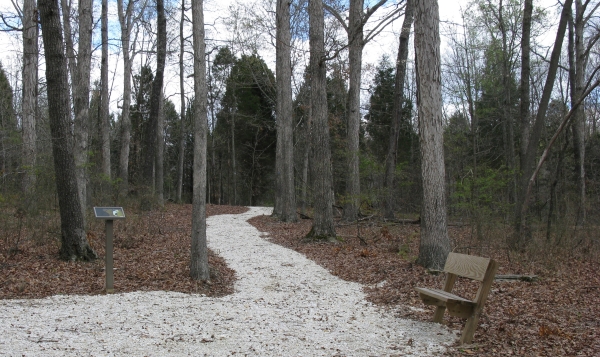 Chickasaw National Recreation Trail