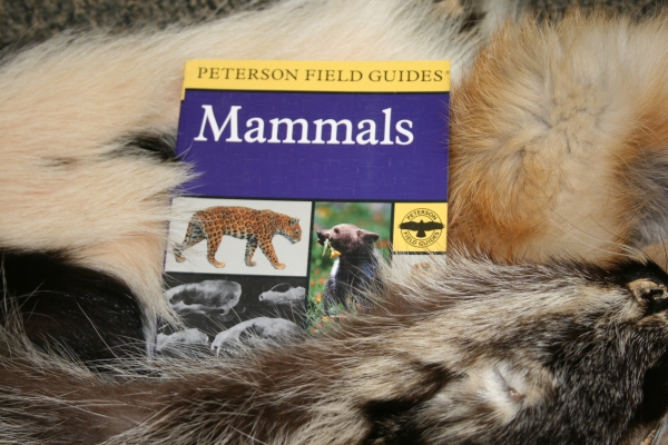 An image of a mammal book laying on top of fur examples.