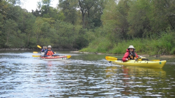 kayakers float down the Mississippi river backwaters along the canoe trail