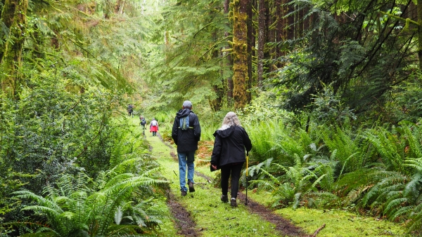 Hikers walking down a trail through forest habitat.