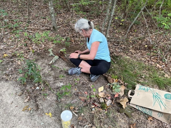 Creating a mandala art in nature