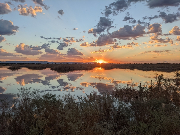 Sunrise over a pond on a cloudy morning.