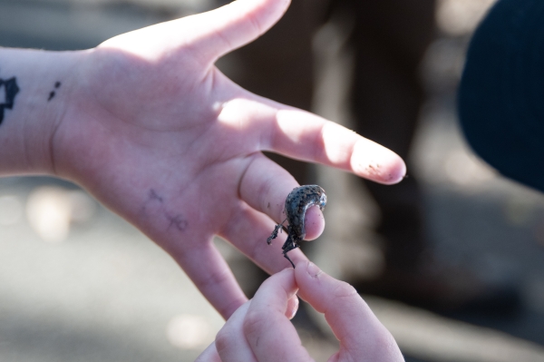 A volunteer holding a slug with a child touching it.