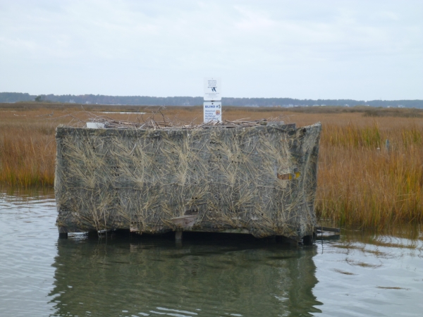 a hunting blind sitting in salt marsh habitat. A national wildlife refuge system sign and salt marsh grass landscape is seen behind it