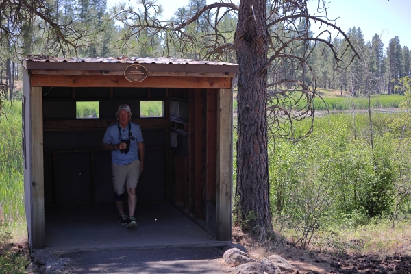 A man in a blue shirt and khaki pants stands inside a wooden bird blind next to a tree and small pond