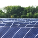 A field of solar panels lined by trees