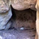 A white California condor egg sits in a cave-like cliffside nest