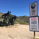 Two large signs with information about California condors