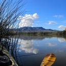 Waterway view at Bill Williams River Refuge