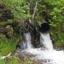 photo of culverts perched very high above stream bed, creating barrier to fish passage