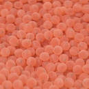 Orange salmon eggs with visible eyes