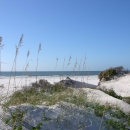 Sand dunes covered in sea oats with ocean in distance.