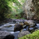 Water flows through narrow gorge with moss-covered rock in the foreground.