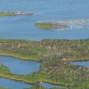 Aerial view of coastal barrier island with shrubby vegetation