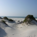 Sand dunes spotted with grasses under clear sky with ocean in the background.