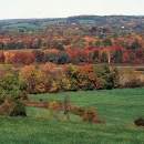 Rolling hills covered in green fields and autumn-colored trees