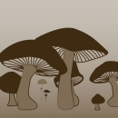 Illustration representing species of the family fungi